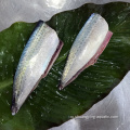 Pacific Frozen Mackerel HGT с лучшим качеством